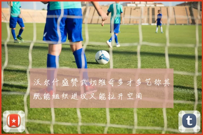 沃尔什盛赞武切维奇多才多艺称其既能组织进攻又能拉开空间